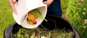 Харчові відходи